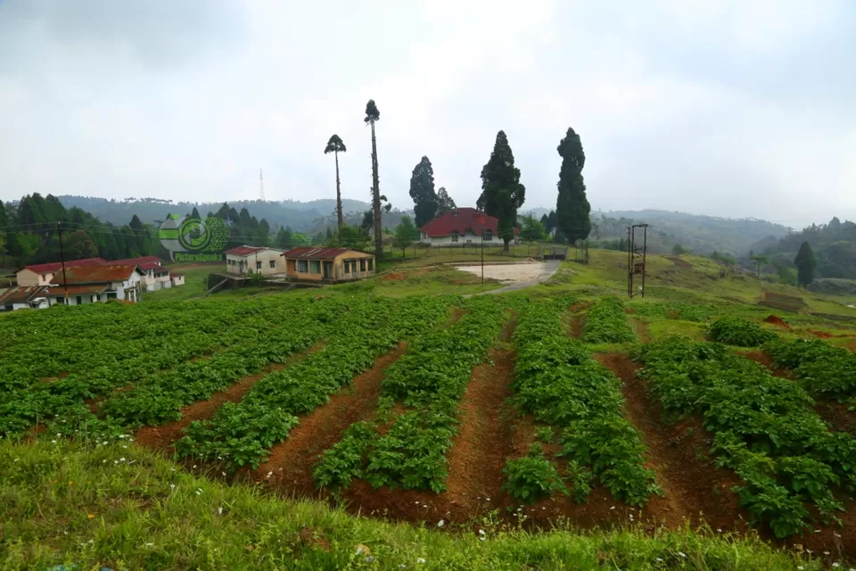 Photo of Shillong, Meghalaya, India by anila