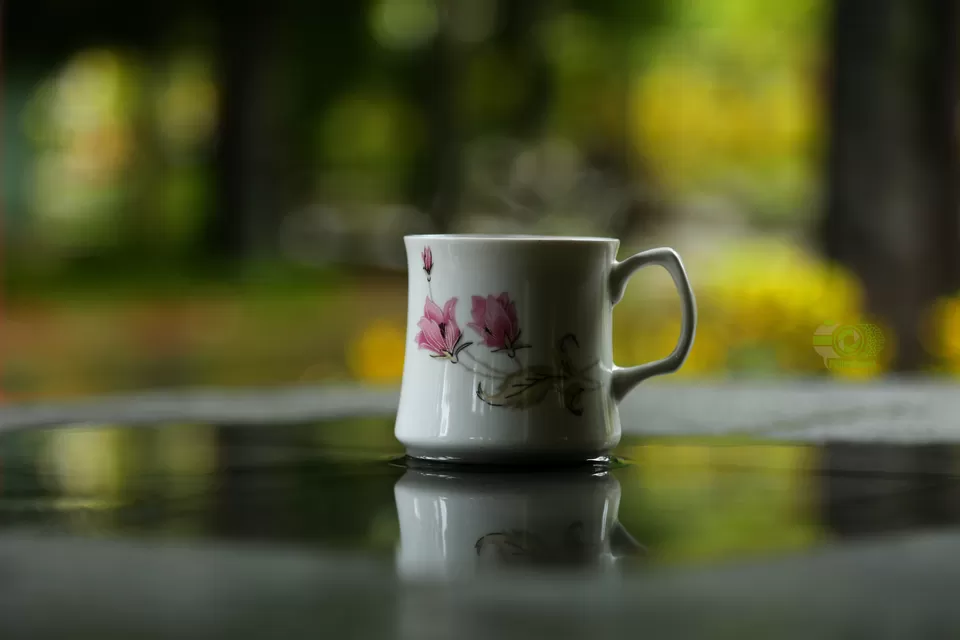 Photo of Mawlynnong, Meghalaya, India by anila