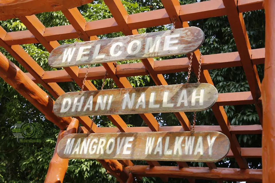 Photo of Dhani Nallah Sand Beach, North and Middle Andaman, Andaman and Nicobar Islands, India by anila