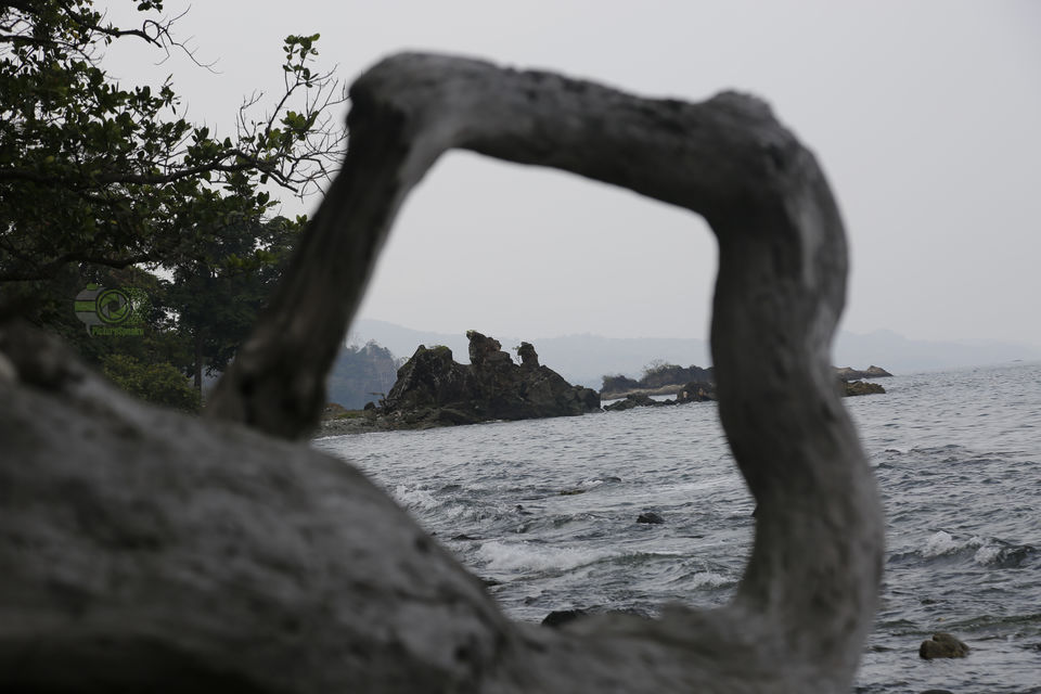 Photo of 'Picture perfect trip' is the result of travelling with Photographer friend. by anila