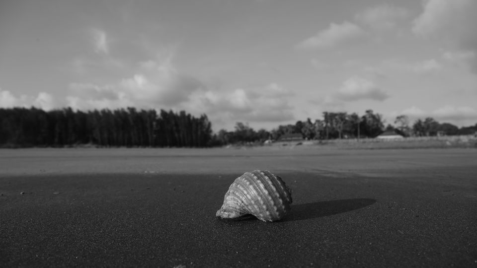 Photo of 'Picture perfect trip' is the result of travelling with Photographer friend. by anila