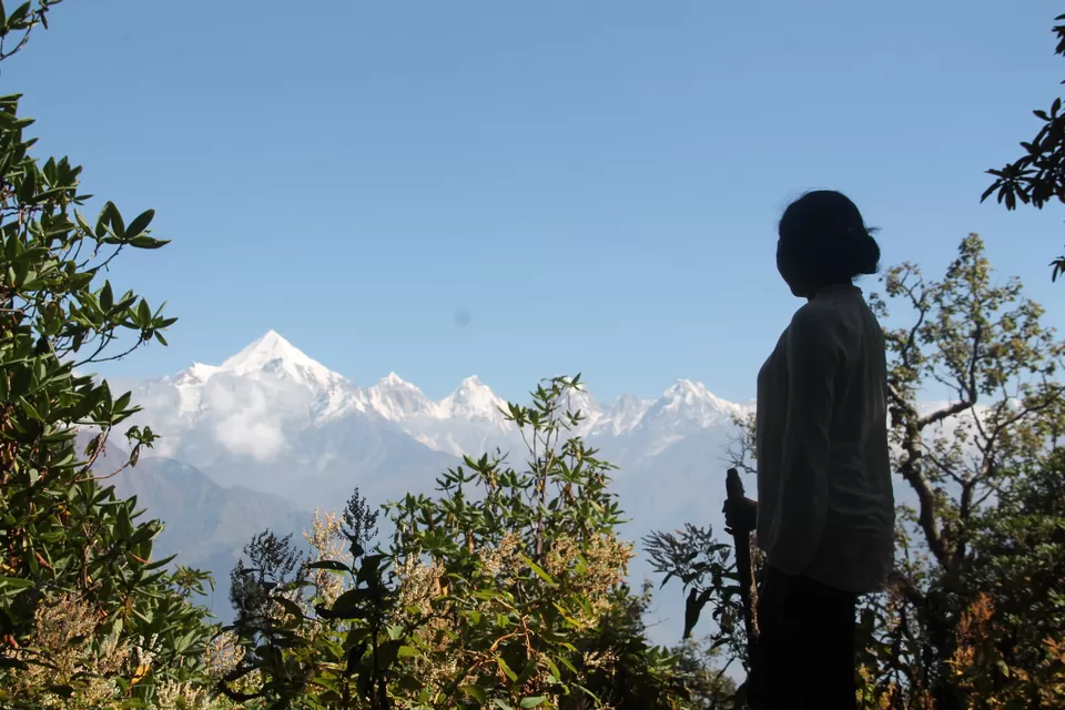 Photo of Khaliya Top, Munsyari - Thal Road, Khaliya, Uttarakhand, India by anila