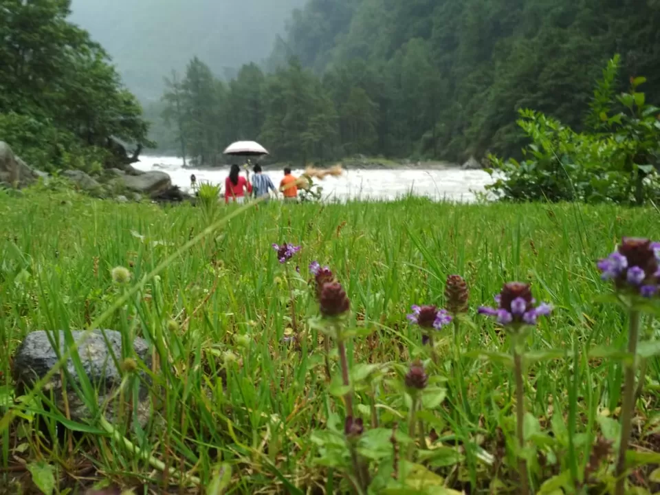 Photo of Lachen Road, Chungthang, Sikkim, India by anila