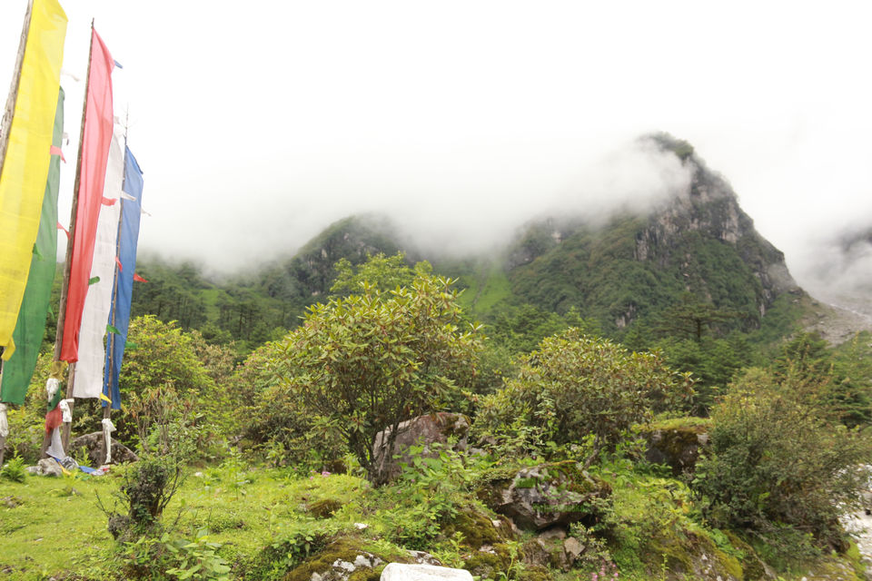Photo of SOULFUL SIKKIM : Part II : Lachen - Gurudongmar Lake - Lachung- Yumthang Valley- Gangtok by anila