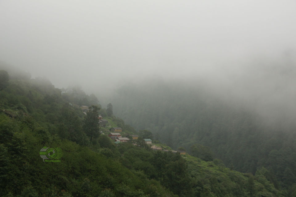 Photo of SOULFUL SIKKIM : Part II : Lachen - Gurudongmar Lake - Lachung- Yumthang Valley- Gangtok by anila