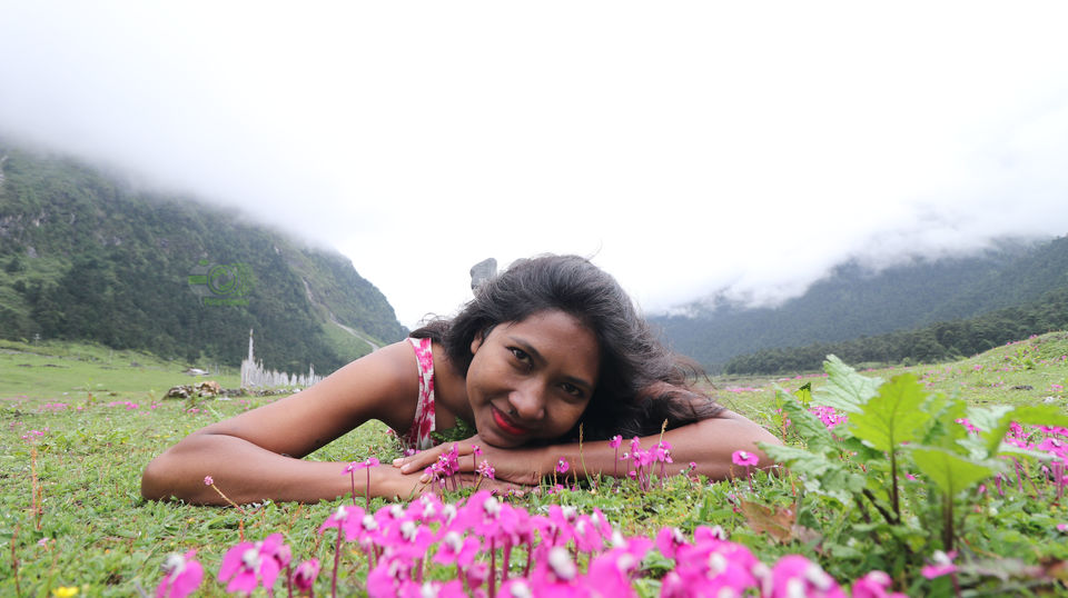 Photo of SOULFUL SIKKIM : Part II : Lachen - Gurudongmar Lake - Lachung- Yumthang Valley- Gangtok by anila