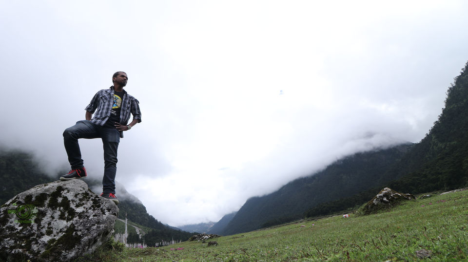 Photo of SOULFUL SIKKIM : Part II : Lachen - Gurudongmar Lake - Lachung- Yumthang Valley- Gangtok by anila