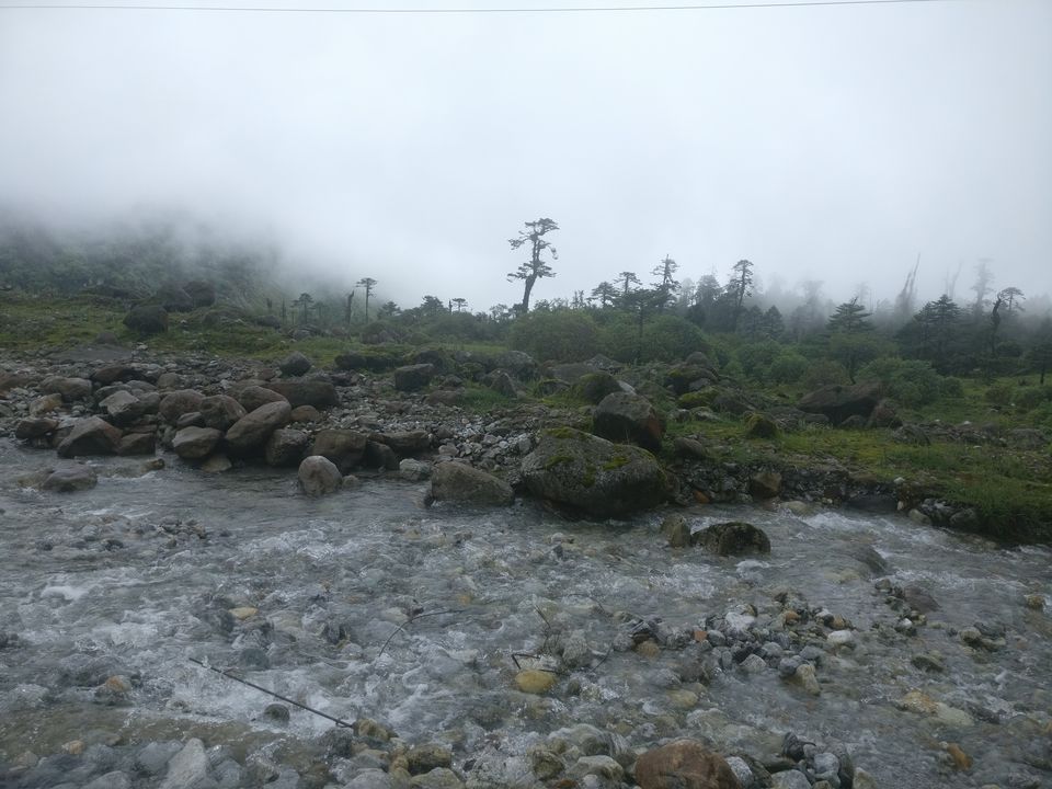 Photo of SOULFUL SIKKIM : Part II : Lachen - Gurudongmar Lake - Lachung- Yumthang Valley- Gangtok by anila