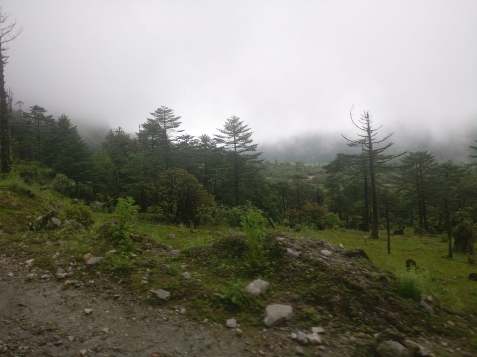 Photo of SOULFUL SIKKIM : Part II : Lachen - Gurudongmar Lake - Lachung- Yumthang Valley- Gangtok by anila