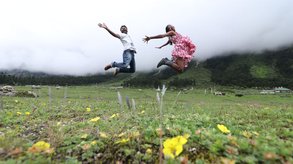 Photo of SOULFUL SIKKIM : Part II : Lachen - Gurudongmar Lake - Lachung- Yumthang Valley- Gangtok by anila