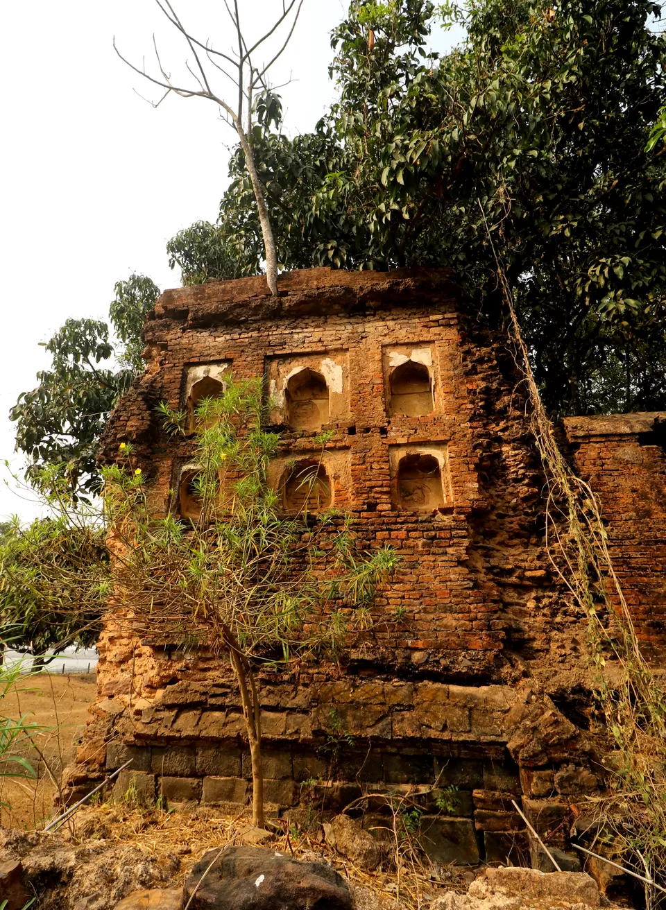 Photo of Rajmahal, Jharkhand, India by anila