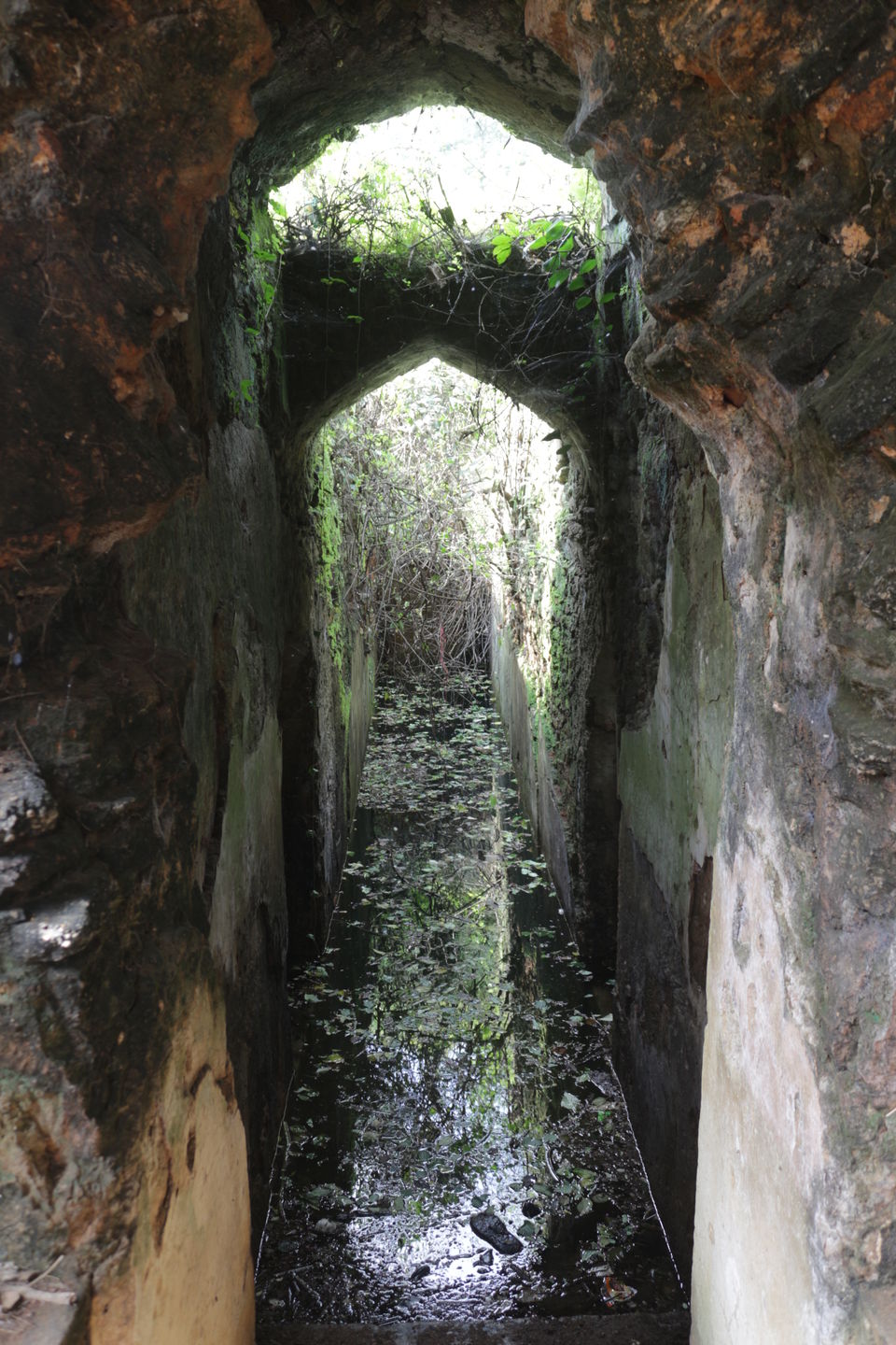 Photo of Journey to the unheard history of Chotanagpur : Navratnagarh, Gumla, Jharkhand by anila