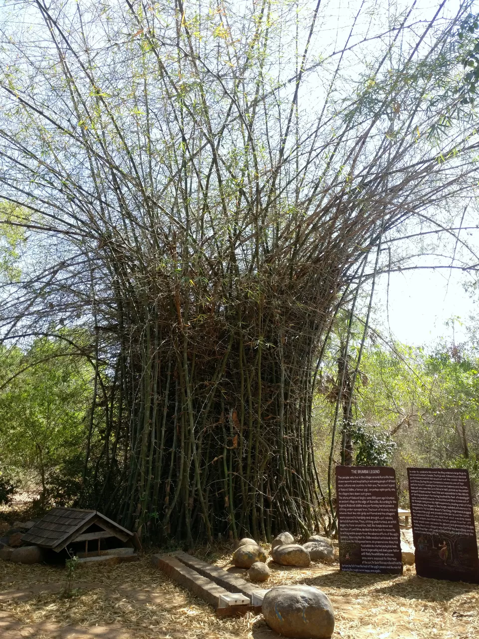 Photo of Auroville Puducherry, Auroville, Bommayapalayam, Tamil Nadu, India by anila
