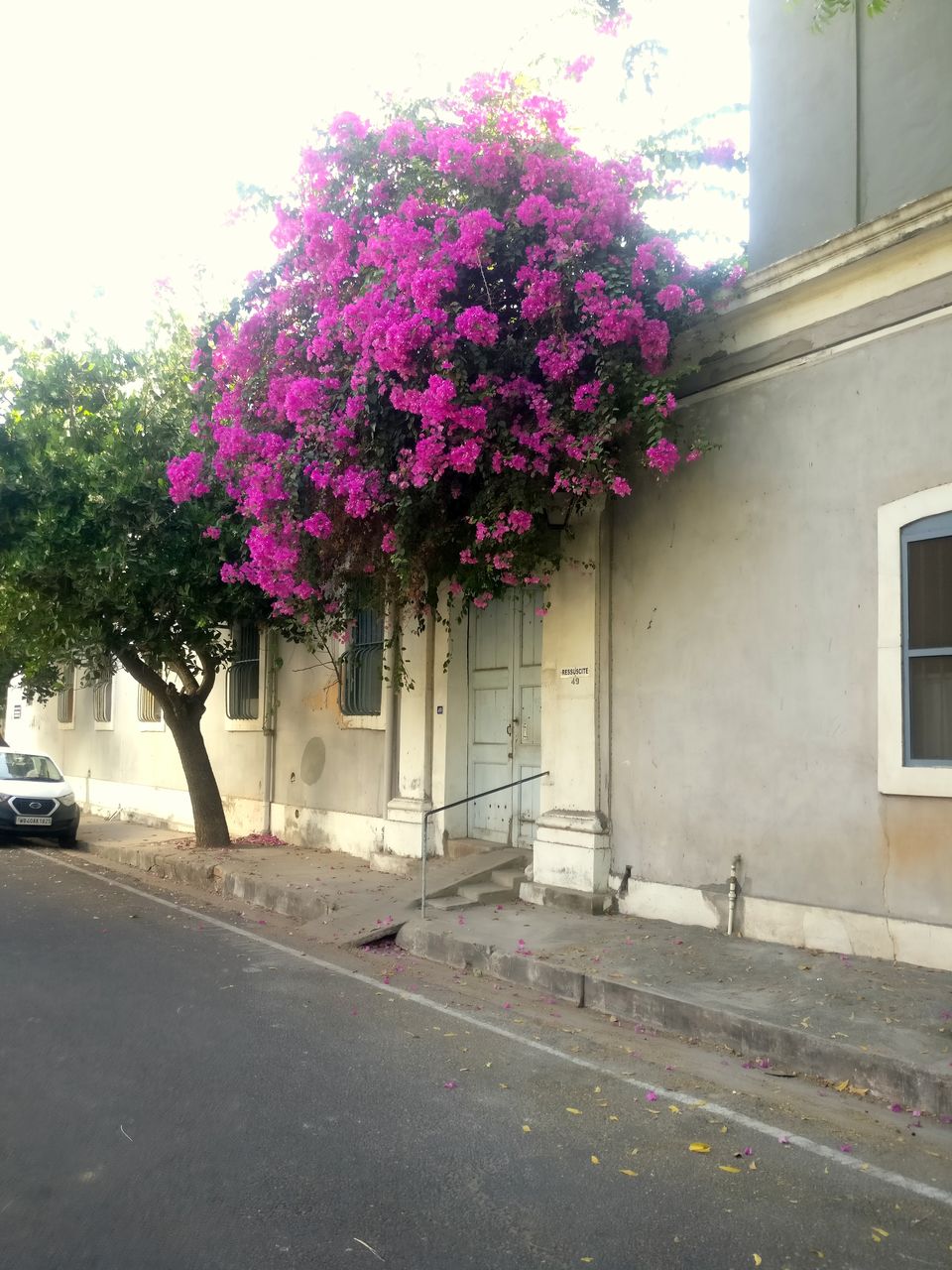 Photo of Pondicherry : all about amazing Continental Food and Doors. by anila