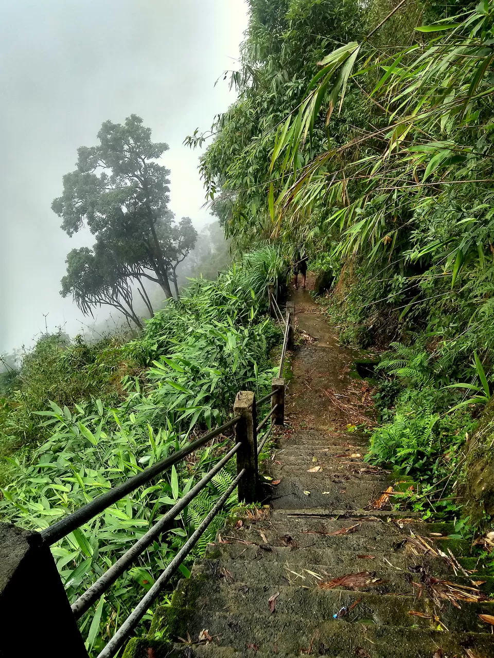 Photo of Nohkalikai Falls View point, Nohkalikai Road, Cherrapunjee, Meghalaya, India by anila