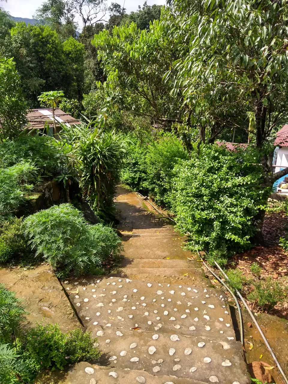 Photo of Tyrna, Meghalaya, India by anila