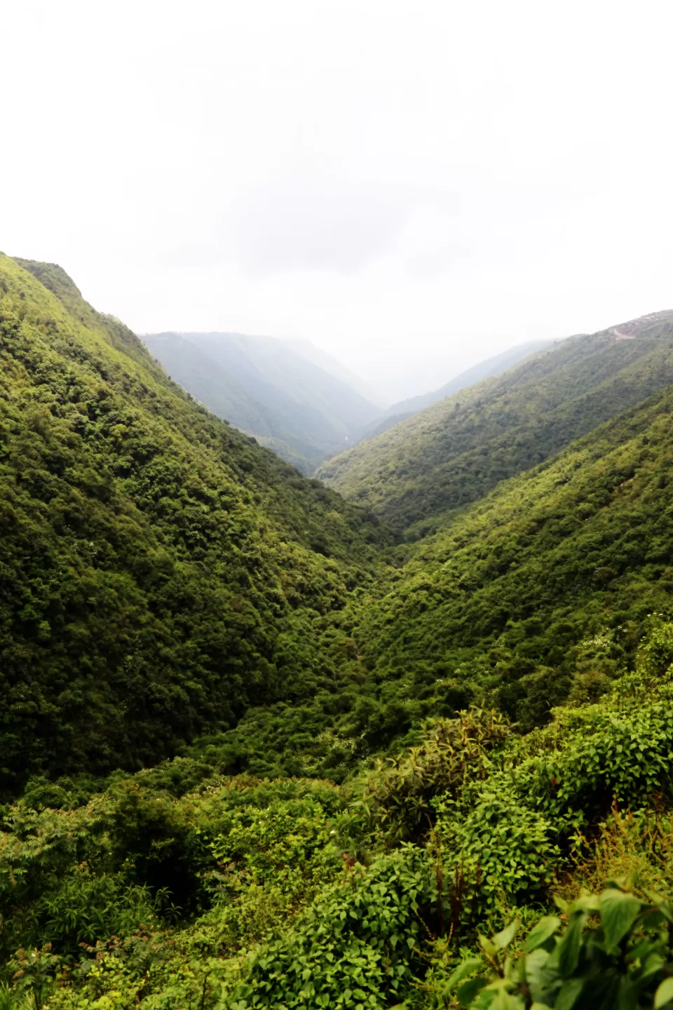 Photo of Mawkdok Dympep Valley View Point, Cherrapunjee, Meghalaya, India by anila