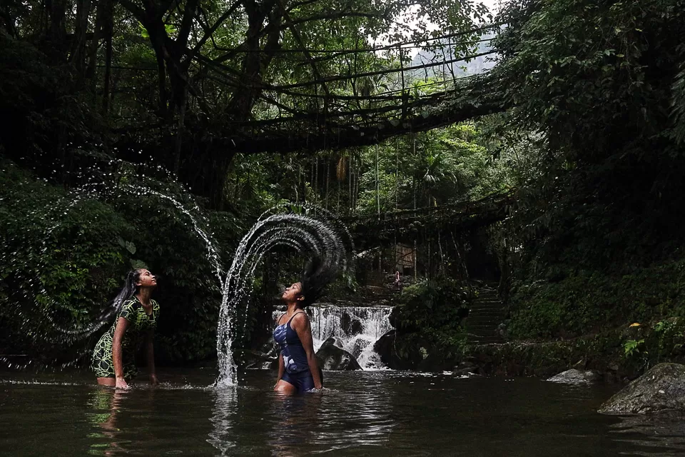 Photo of Double Decker Living Root Bridge, Cherrapunjee, Meghalaya, India by anila