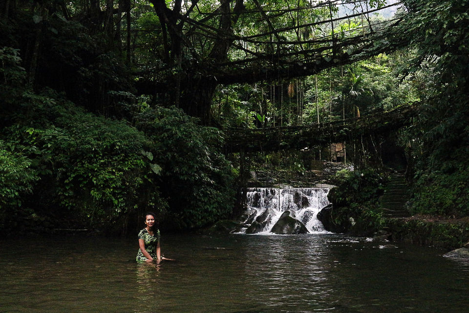Photo of Double Decker Living Root Bridge, Cherrapunjee, Meghalaya, India by anila