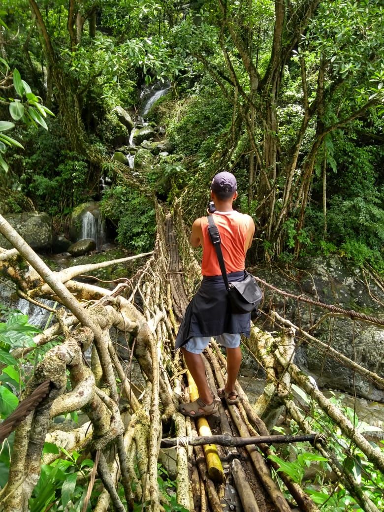 Photo of Mawsaw Steel & Root Bridge, Meghalaya, India by anila