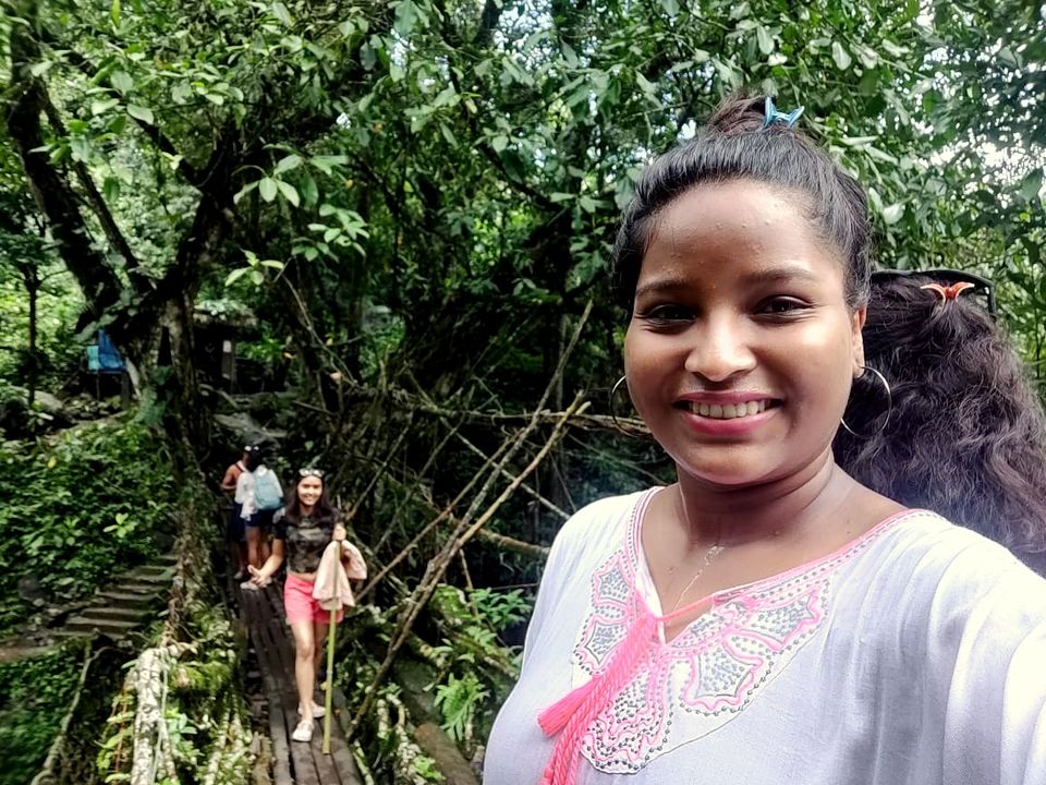 Photo of Mawsaw Steel & Root Bridge, Meghalaya, India by anila