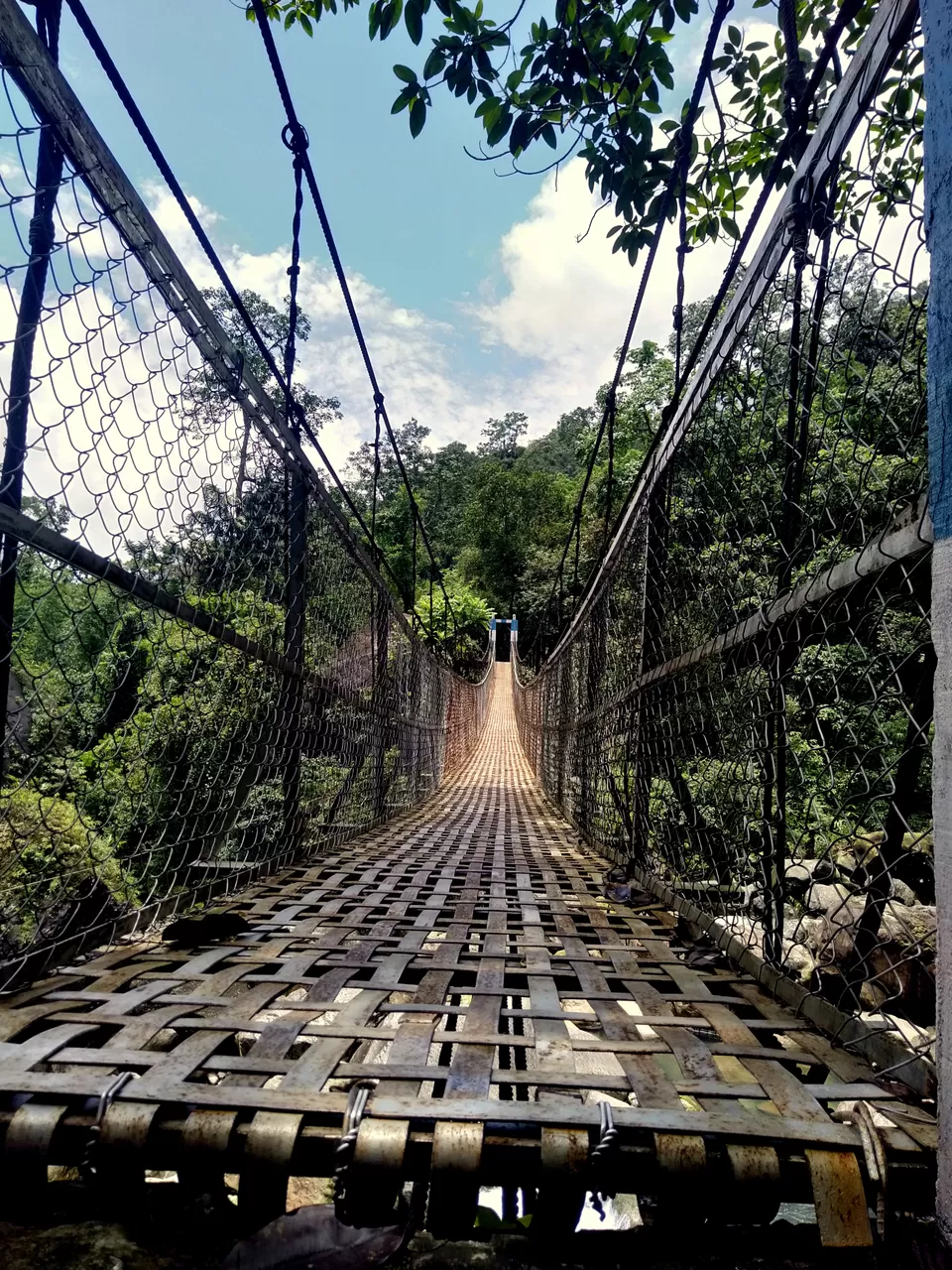 Photo of Mawsaw Steel & Root Bridge, Meghalaya, India by anila