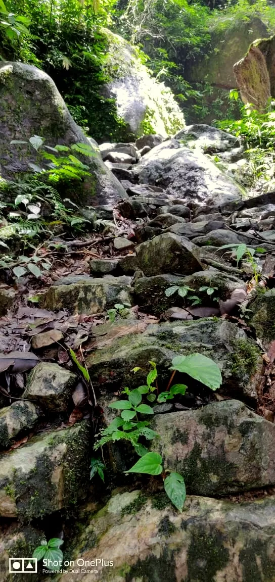 Photo of Mawsaw, Meghalaya, India by anila