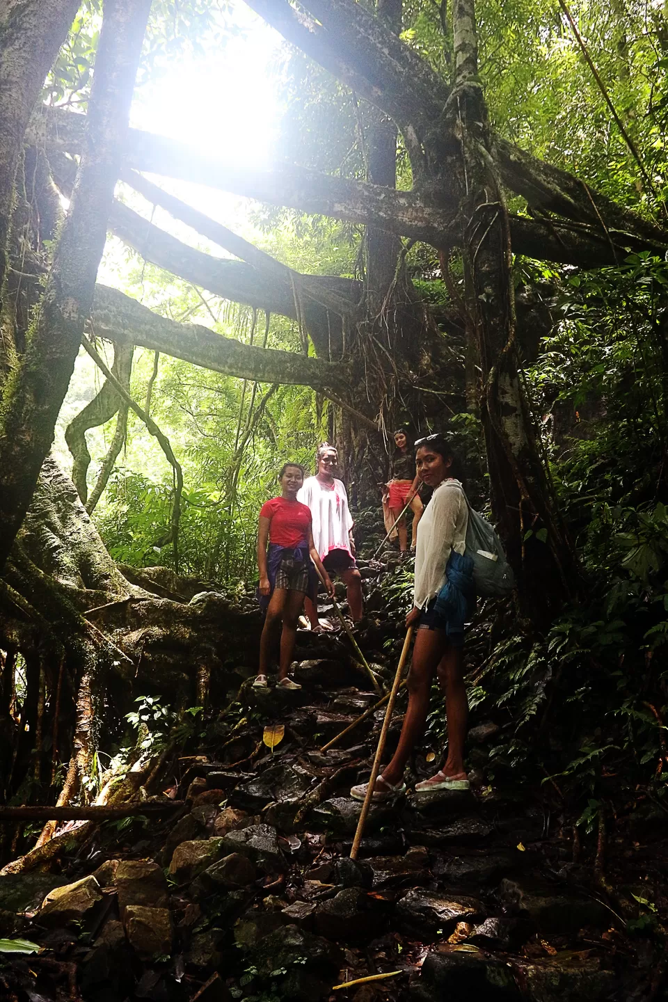 Photo of Mawsaw Steel & Root Bridge, Meghalaya, India by anila