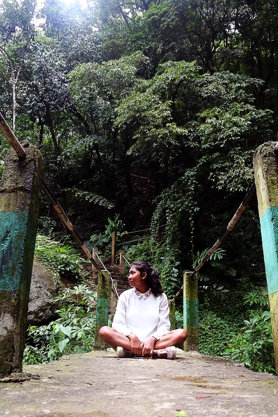Photo of Mawsaw Steel & Root Bridge, Meghalaya, India by anila