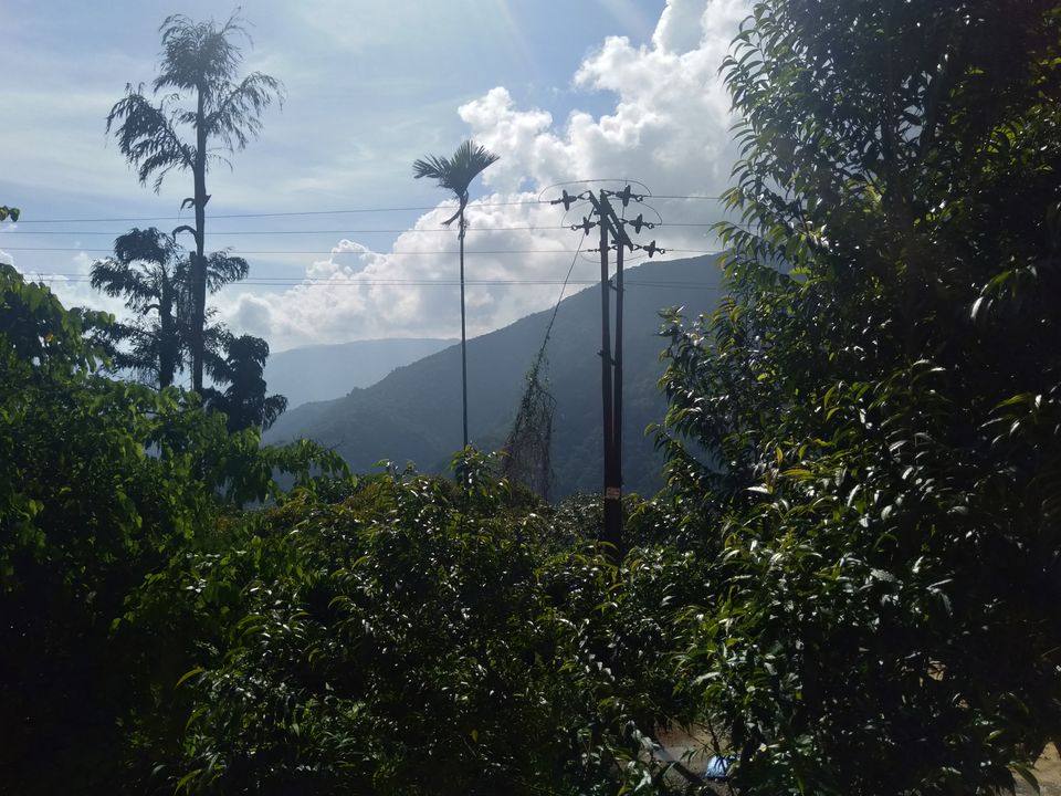 Photo of Tyrna, Meghalaya, India by anila