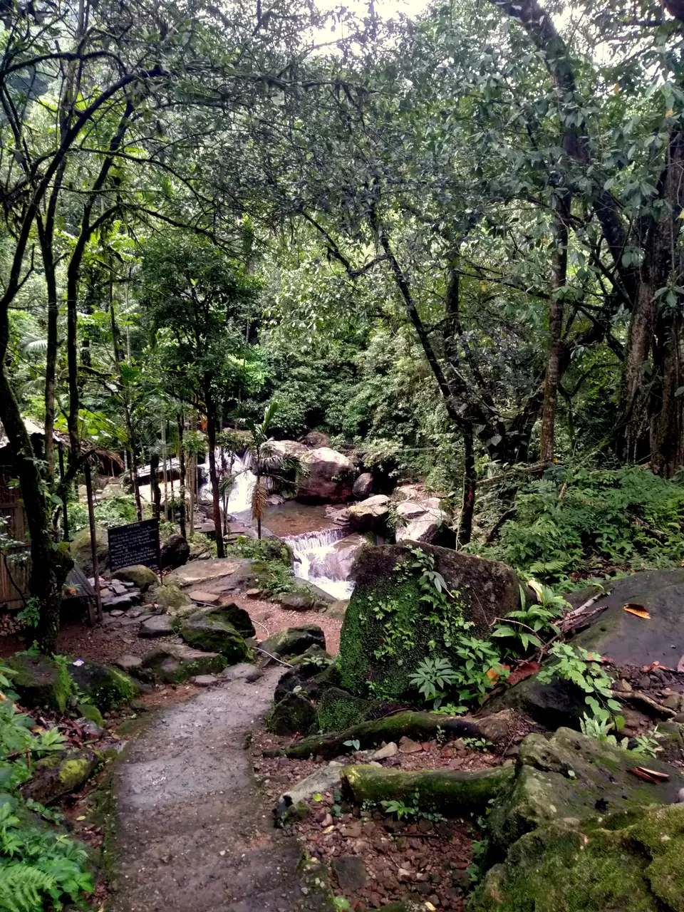 Photo of Nongriat, Meghalaya, India by anila