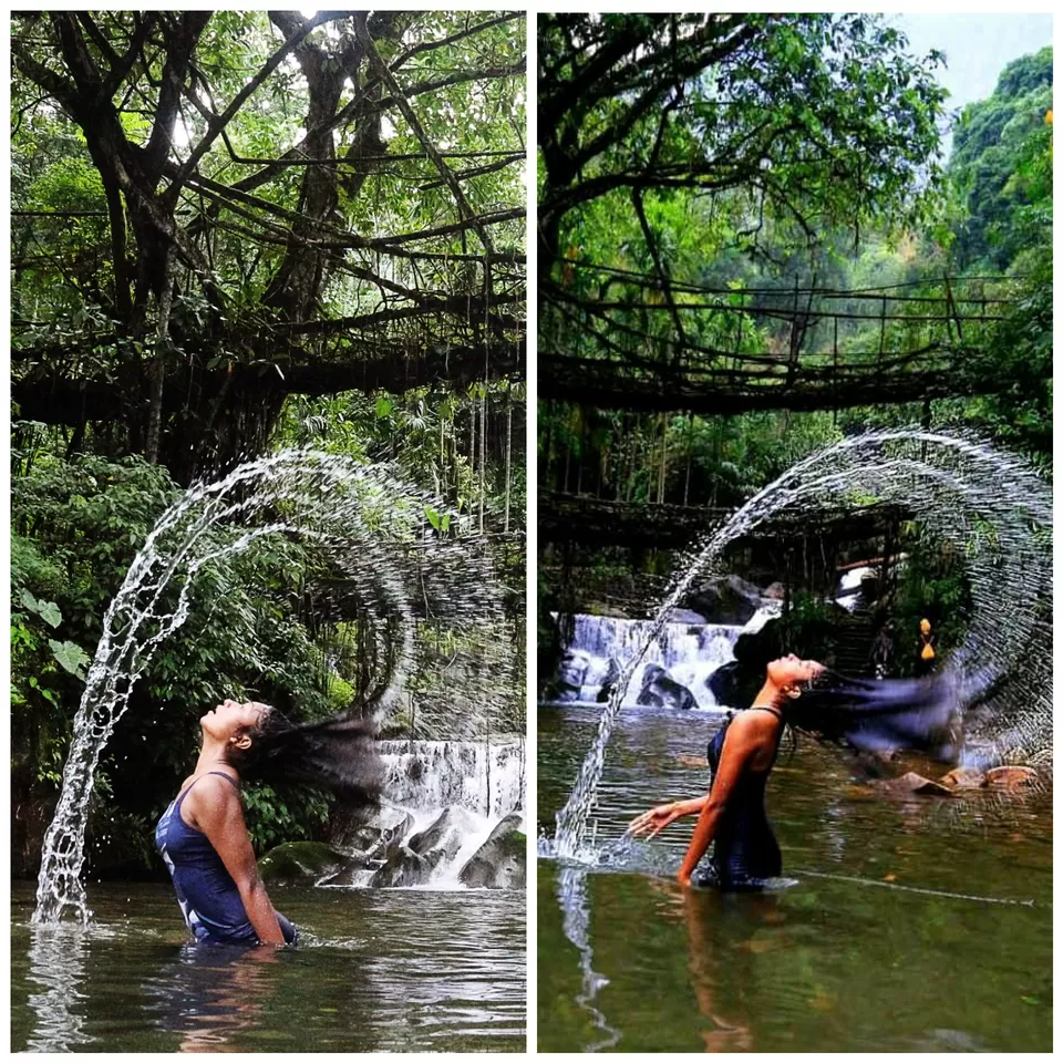 Photo of Double Decker Living Root Bridge, Cherrapunjee, Meghalaya, India by anila