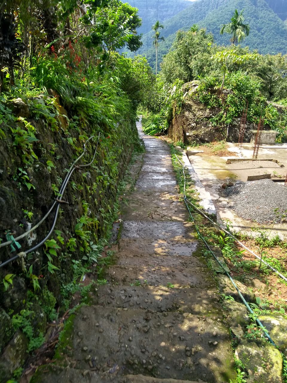 Photo of Tyrna, Meghalaya, India by anila