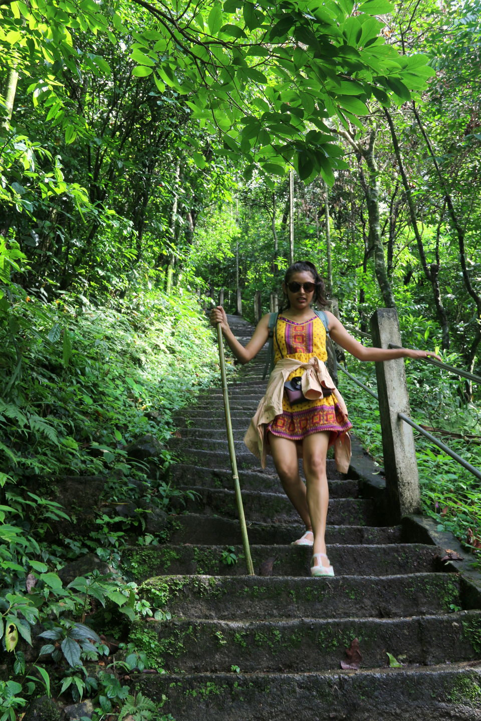 Photo of Few days in tropical forests of Meghalaya: Cherrapunjee , Double Decker living root bridge. by anila