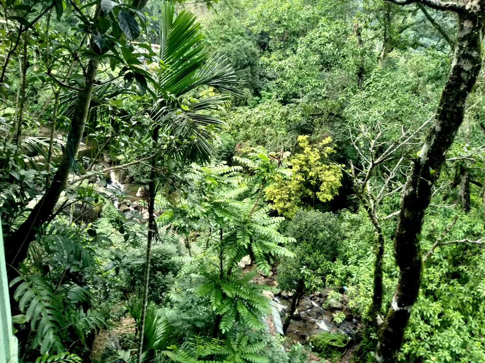 Photo of Nongriat, Meghalaya, India by anila