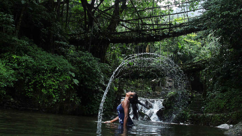 Photo of Double Decker Living Root Bridge, Cherrapunjee, Meghalaya, India by anila