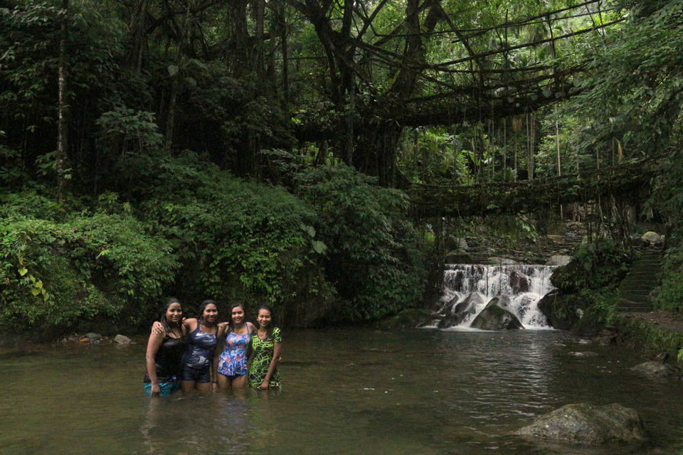 Photo of Double Decker Living Root Bridge, Cherrapunjee, Meghalaya, India by anila