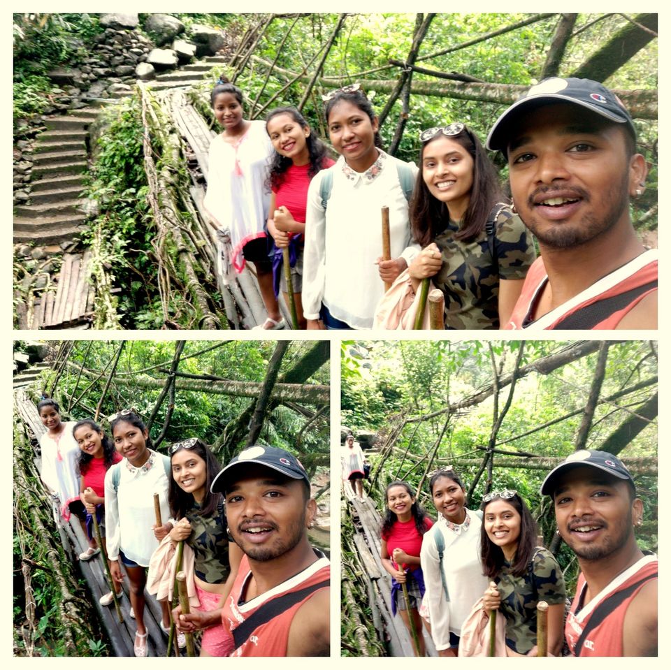 Photo of Few days in tropical forests of Meghalaya: Cherrapunjee , Double Decker living root bridge. by anila