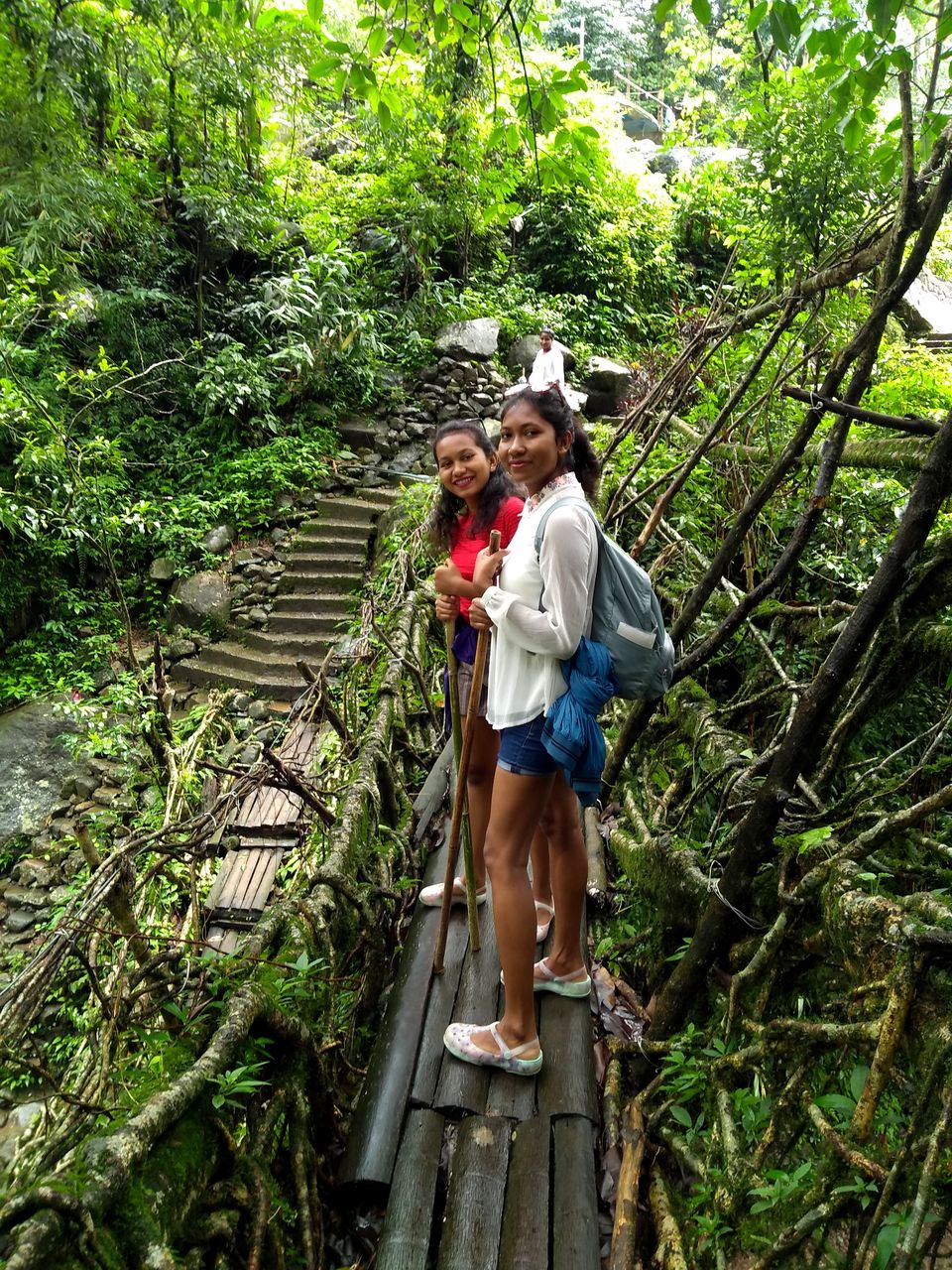 Photo of Few days in tropical forests of Meghalaya: Cherrapunjee , Double Decker living root bridge. by anila