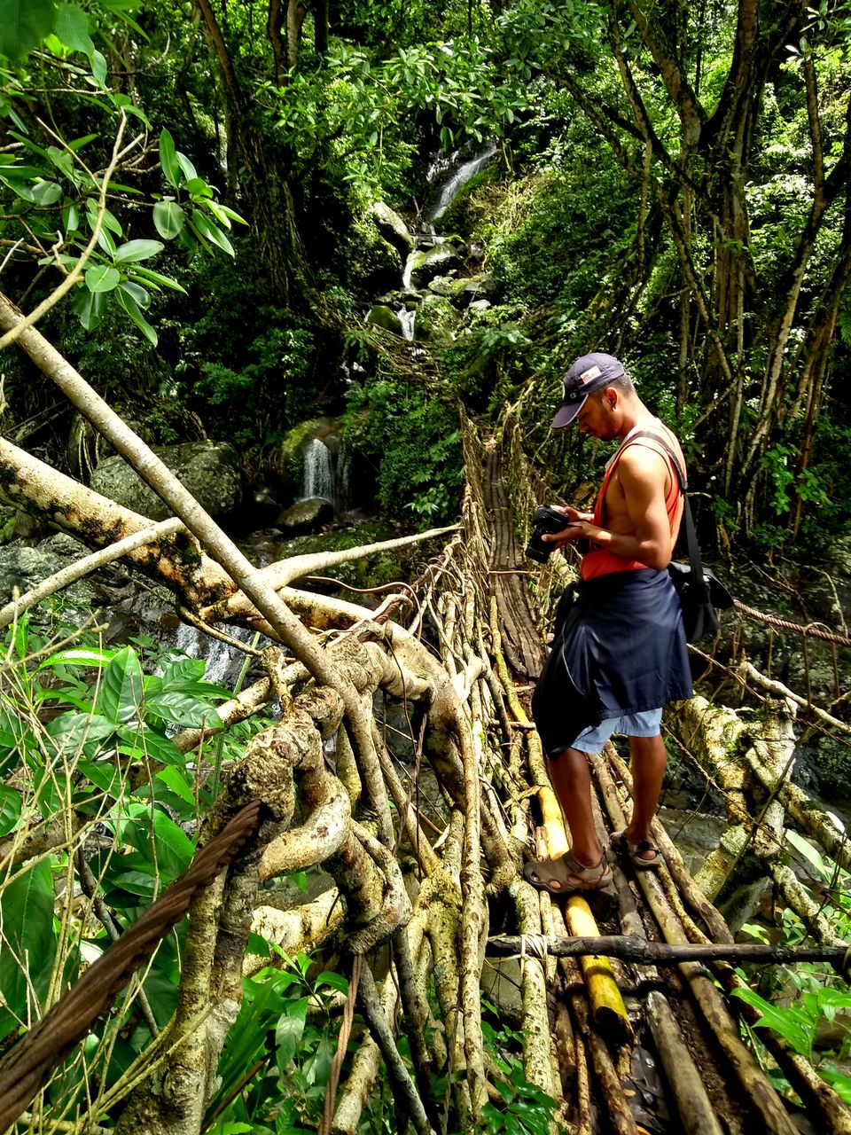 Photo of Mawsaw Steel & Root Bridge, Meghalaya, India by anila