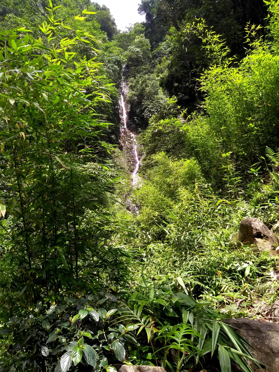 Photo of Mawsawa, Meghalaya, India by anila