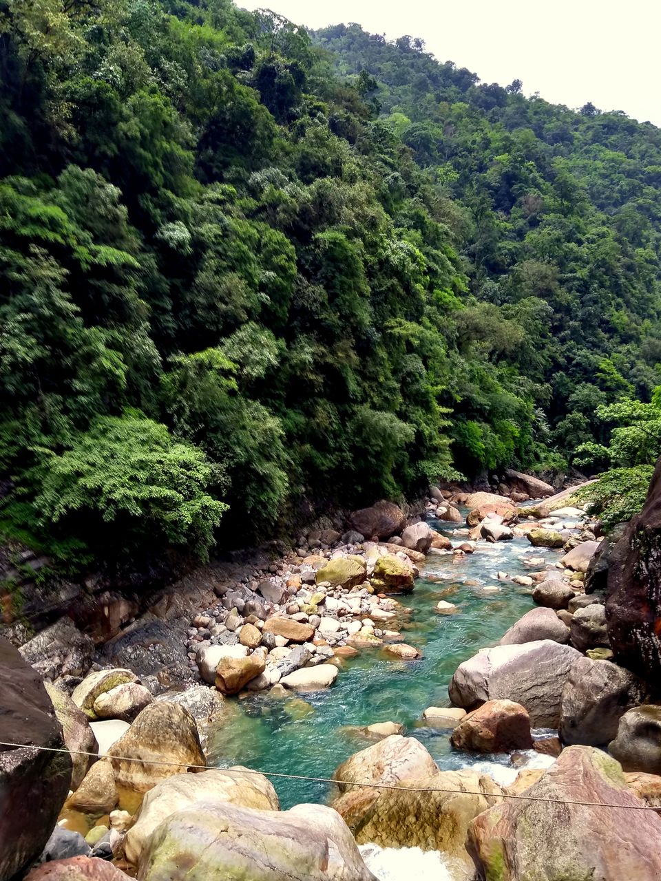 Photo of Few days in tropical forests of Meghalaya: Cherrapunjee , Double Decker living root bridge. by anila