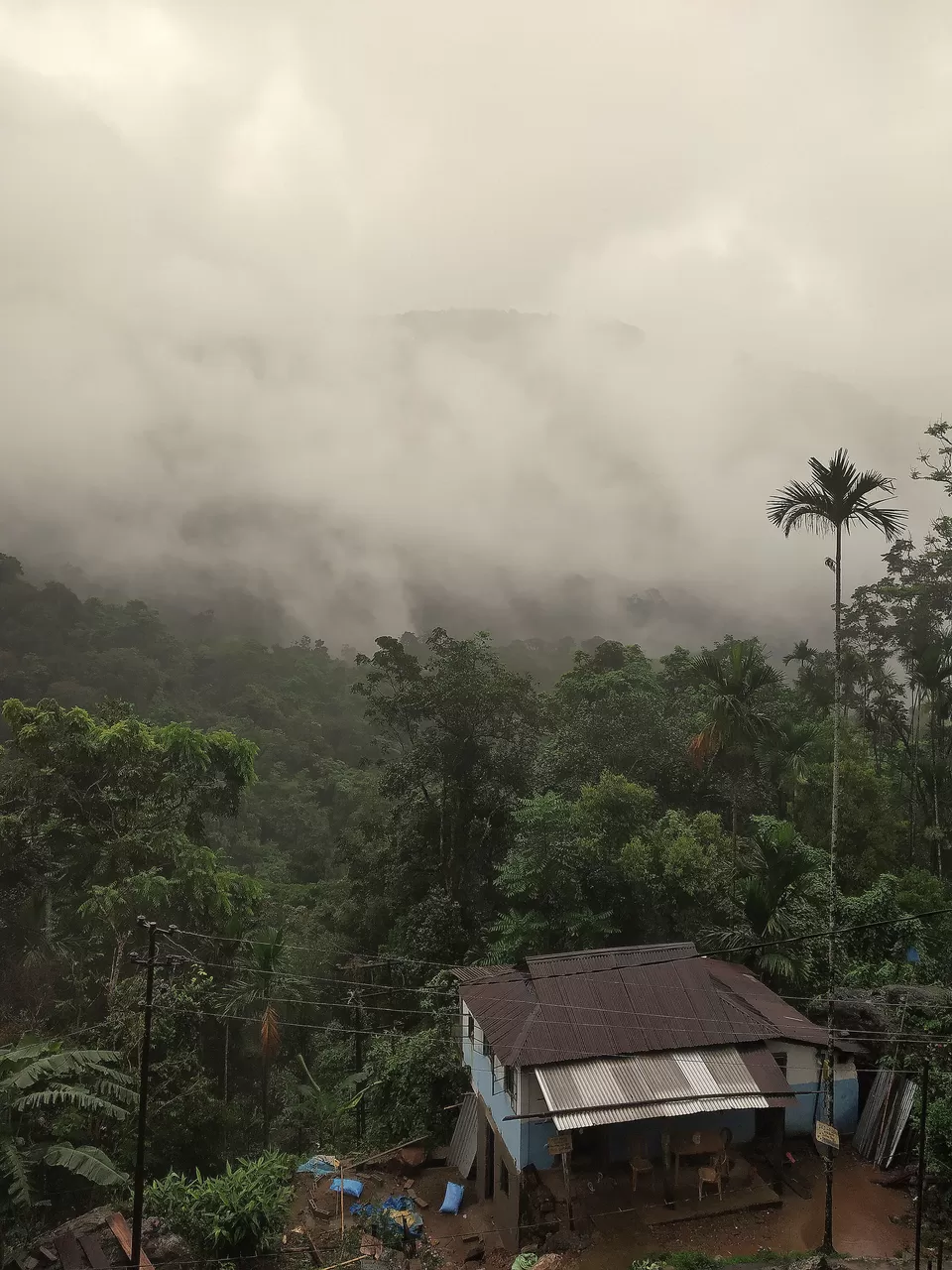 Photo of Nongriat, Meghalaya, India by anila