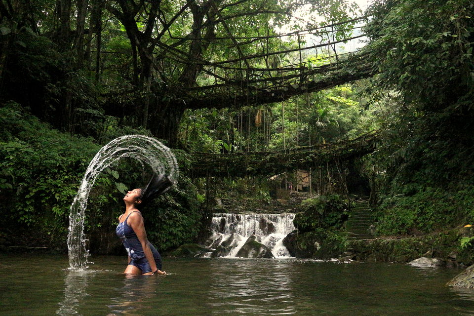 Photo of Few days in tropical forests of Meghalaya: Cherrapunjee , Double Decker living root bridge. by anila