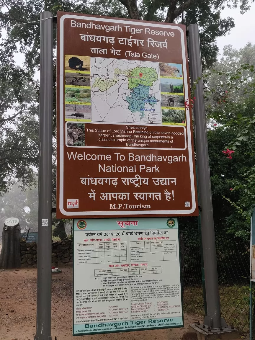 Photo of Bandhavgarh Tiger Reserve, Kila Bandhogarh, Madhya Pradesh, India by anila