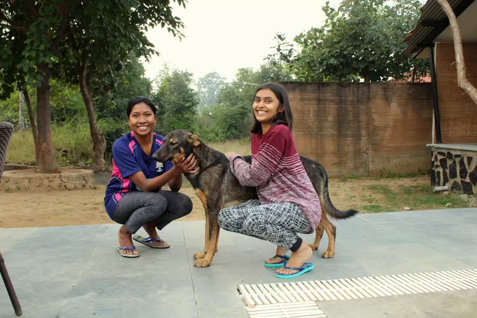 Photo of Maati Jungle Lodge - Resort in Bandhavgarh, Bandhavgarh, Madhya Pradesh, India by anila