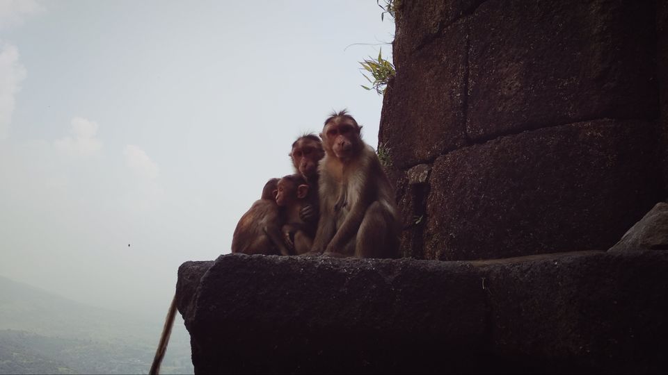 Photo of Lohgad Trekking by Baloji Sawant