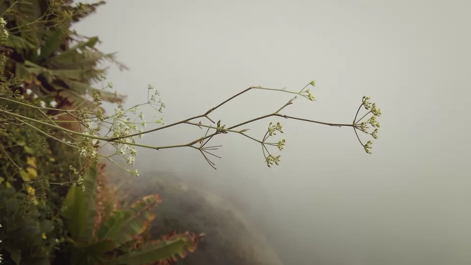 Photo of Sinhagad Fort, Sinhagad Ghat Road, Thoptewadi, Maharashtra, India by Baloji Sawant