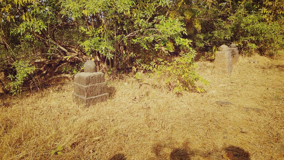 Photo of Sudhagad Fort …..#Maratha Empire 5/51 by Baloji Sawant