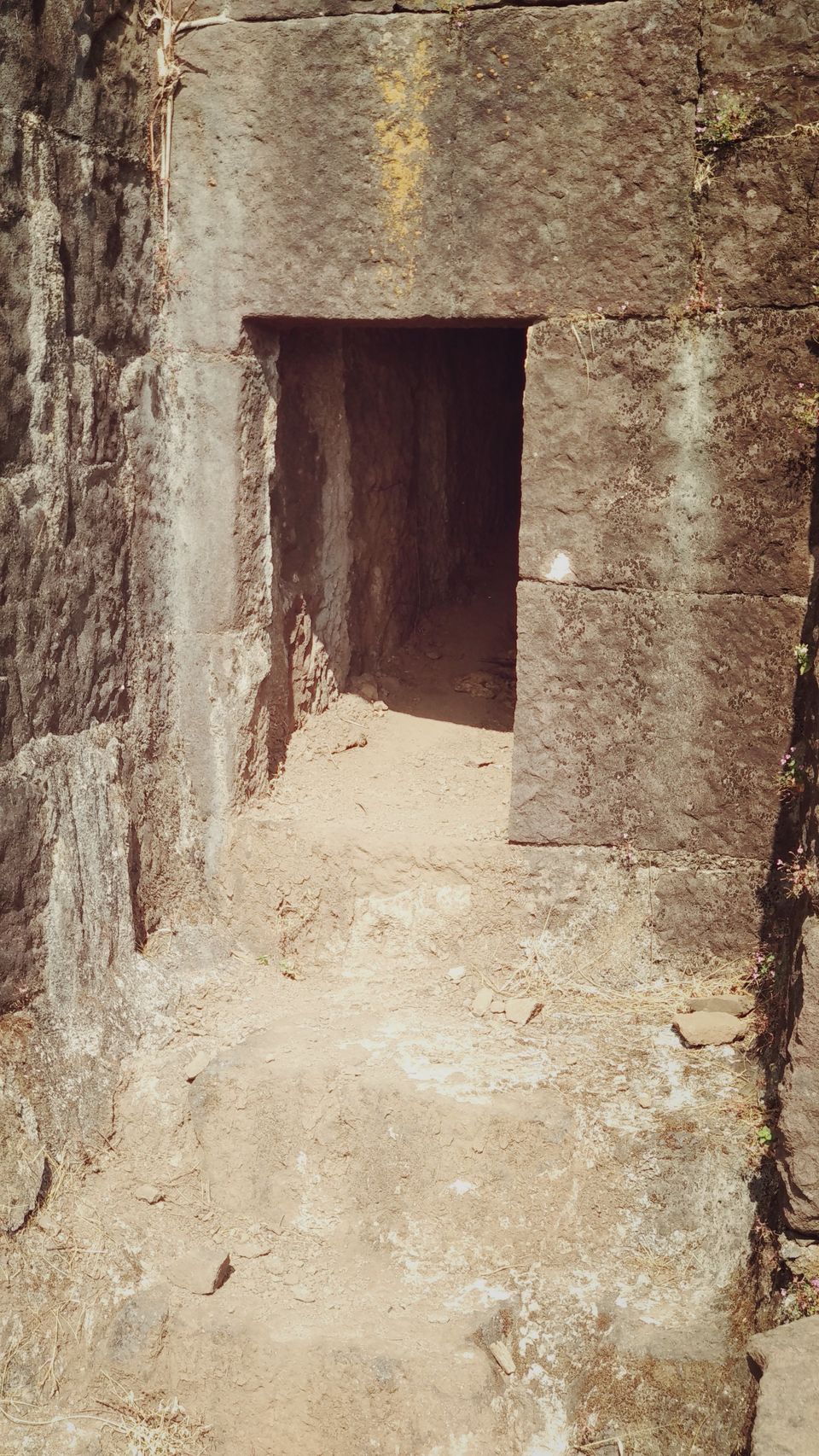 Photo of Sudhagad Fort …..#Maratha Empire 14/51 by Baloji Sawant